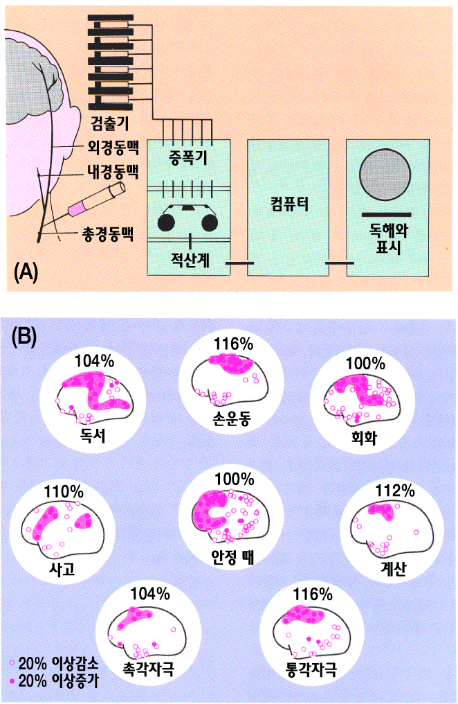 <그림 7> 방사성 키세논가스 
(<img src=